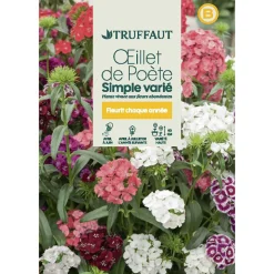 TRUFFAUT - Œillet de poete Hirondelle simple couleur varié : en sachet