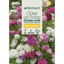 TRUFFAUT - Œillet de poete Passionata double couleur variée : en sachet