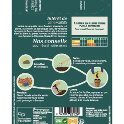 TRUFFAUT - Œillet de poete Passionata double couleur variée : en sachet