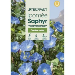 TRUFFAUT - Ipomée à grande fleurs Saphir