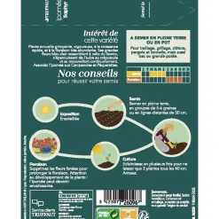 TRUFFAUT - Ipomée à grande fleurs Saphir