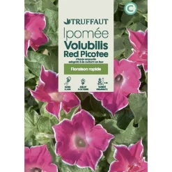 TRUFFAUT - Ipomée red picotee 2 g