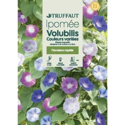 TRUFFAUT - Ipomée volubilis Couleur Variée : en Sachet