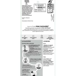 TRUFFAUT - Jasmin étoilé Asiaticum Pink Shower® C3L