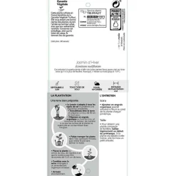 TRUFFAUT - Jasminum nudiflorum ech : ctr de 3 Litres