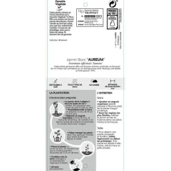 TRUFFAUT - Jasminum officinale Aureum : ctr de 3 Litres