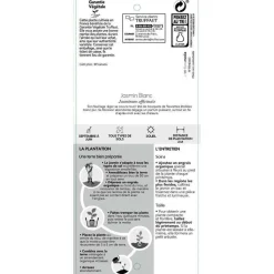 TRUFFAUT - Jasminum officinale : ctr de 3 Litres