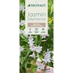 TRUFFAUT - Jasminum x stephanense, pot 3 litres