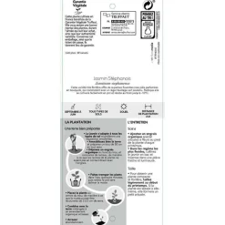 TRUFFAUT - Jasminum x stephanense, pot 3 litres