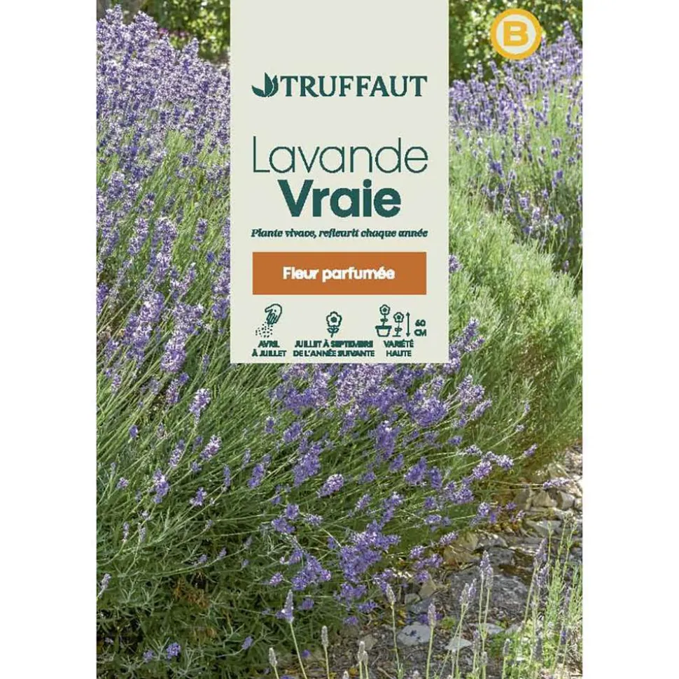 TRUFFAUT - Lavande variée : en sachet