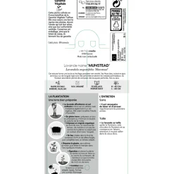 TRUFFAUT - Lavande vraie Munstead : conteneur 3 Litres