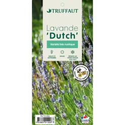 TRUFFAUT - Lavandula 'Dutch' : pot de 7.5L