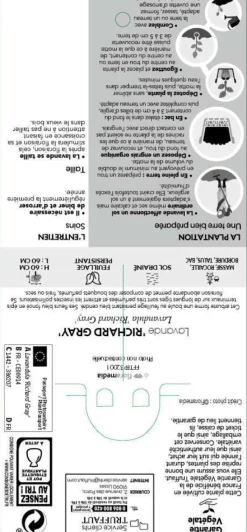 TRUFFAUT - Lavandula x 'Richard Gray' : 3L