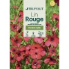 TRUFFAUT - Lin rouge à grande fleur : en sachet
