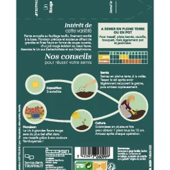 TRUFFAUT - Lin rouge à grande fleur : en sachet