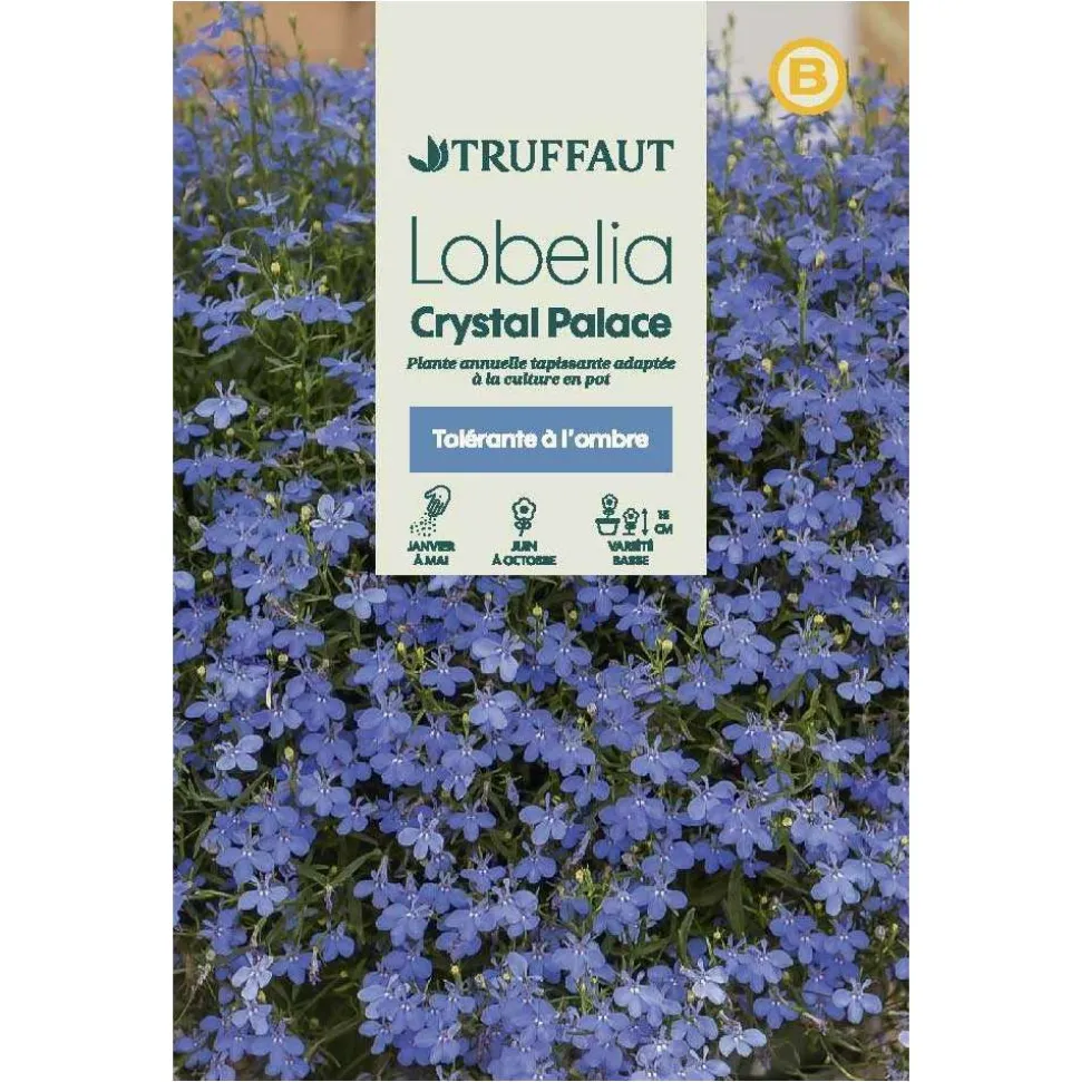 TRUFFAUT - Lobélia Crystal Palace