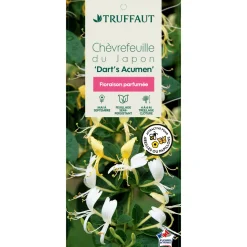 TRUFFAUT - Lonicera 'Dart's Acumen': pot 3L