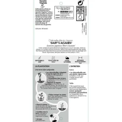 TRUFFAUT - Lonicera 'Dart's World': pot 3L