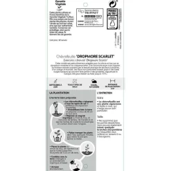 TRUFFAUT - Lonicera Dropmore Scarlet : ctr de 3 Litres