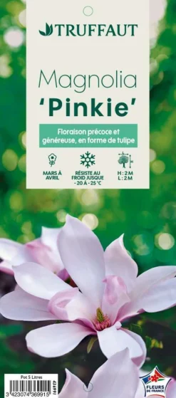 TRUFFAUT - Magnolia x Pinkie : conteneur rond carré de 5 L