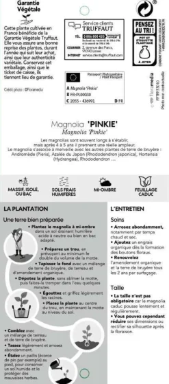 TRUFFAUT - Magnolia x Pinkie : conteneur rond carré de 5 L