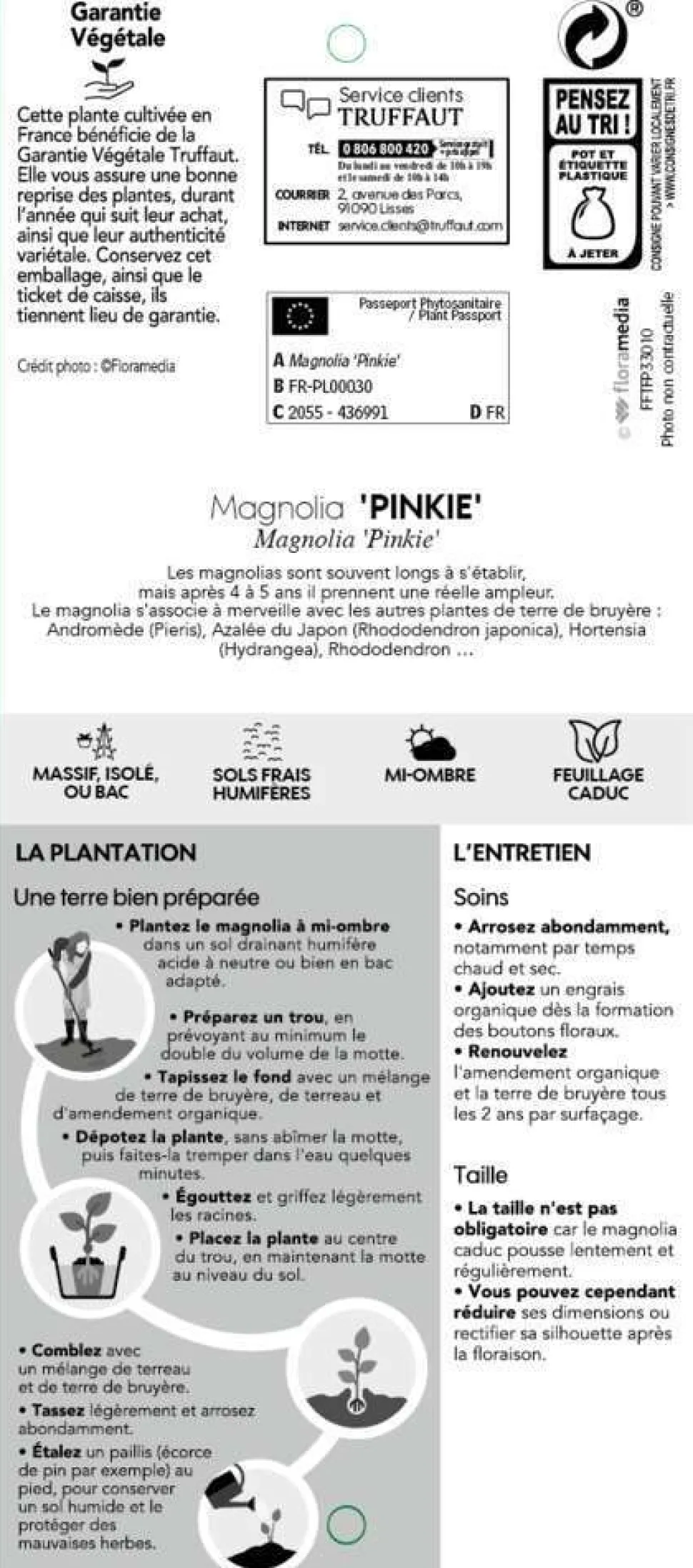 TRUFFAUT - Magnolia x Pinkie : conteneur rond carré de 5 L