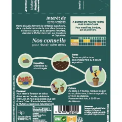 TRUFFAUT - Muflier Majestic demi-nain varié : en sachet