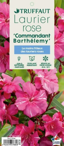 TRUFFAUT - Nerium Oleander Commandant Barthelemy pot 5L