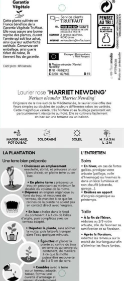 TRUFFAUT - Nerium Oleander Harriet Newding' pot 5L