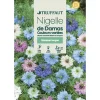 TRUFFAUT - Nigelle de Damas couleur variée : en sachet