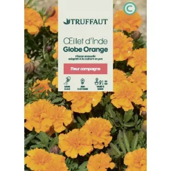 TRUFFAUT - Oeillet d'inde globe orange 1 g