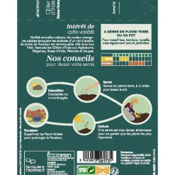 TRUFFAUT - Oeillet d'inde globe orange 1 g