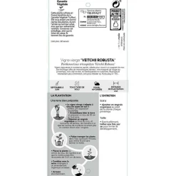 TRUFFAUT - Parthenocissus Veitchii Robusta : ctr de 3 litres
