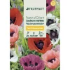 TRUFFAUT - Pavot d’Orient couleur variée : en sachet