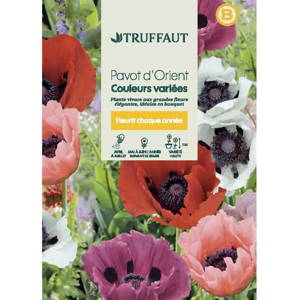 TRUFFAUT - Pavot d’Orient couleur variée : en sachet
