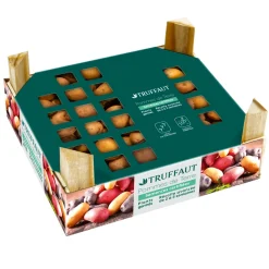 TRUFFAUT - Plants de pommes de terre 'Zen' en clayette x60