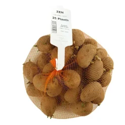 TRUFFAUT - Plants de pommes de terre 'Zen' en filet x25