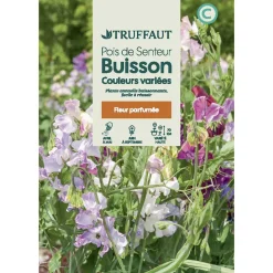 TRUFFAUT - Pois De Senteur Couleurs Variées : En sachet
