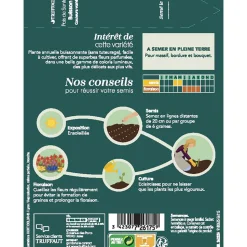 TRUFFAUT - Pois De Senteur Couleurs Variées : En sachet