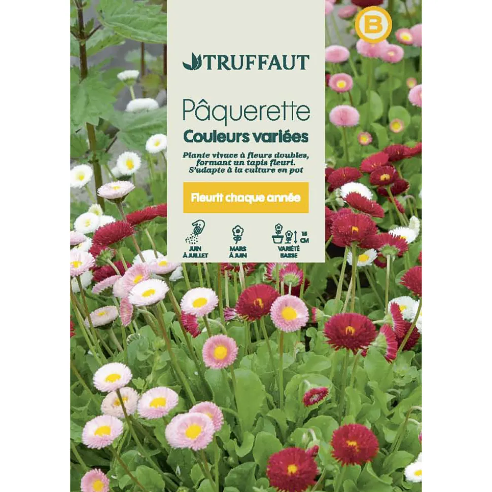 TRUFFAUT - Pâquerette des prés Tapis couleurs Variées