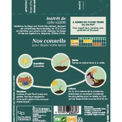 TRUFFAUT - Rose d'Inde double grande variée : en sachet