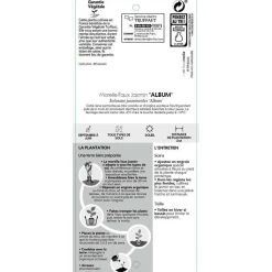TRUFFAUT - Solanum jasminoïdes 'Album': pot 3L