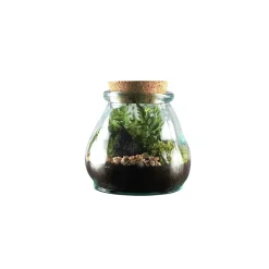 TRUFFAUT - Terrarium 'Bila Uso' M : D.15cm - H.15cm