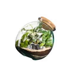 TRUFFAUT - Terrarium Kuego L - D.26xH.26cm