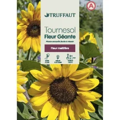 TRUFFAUT - Tournesol géant