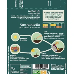 TRUFFAUT - Tournesol géant