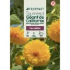 TRUFFAUT - Tournesol géant de californie 4 g
