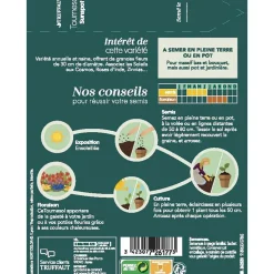 TRUFFAUT - Tournesol sunspot 3 g