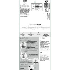 TRUFFAUT - Trachelospermum asiaticum : 3L