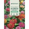 TRUFFAUT - Zinnia Géant Couleur Variée : En sachet